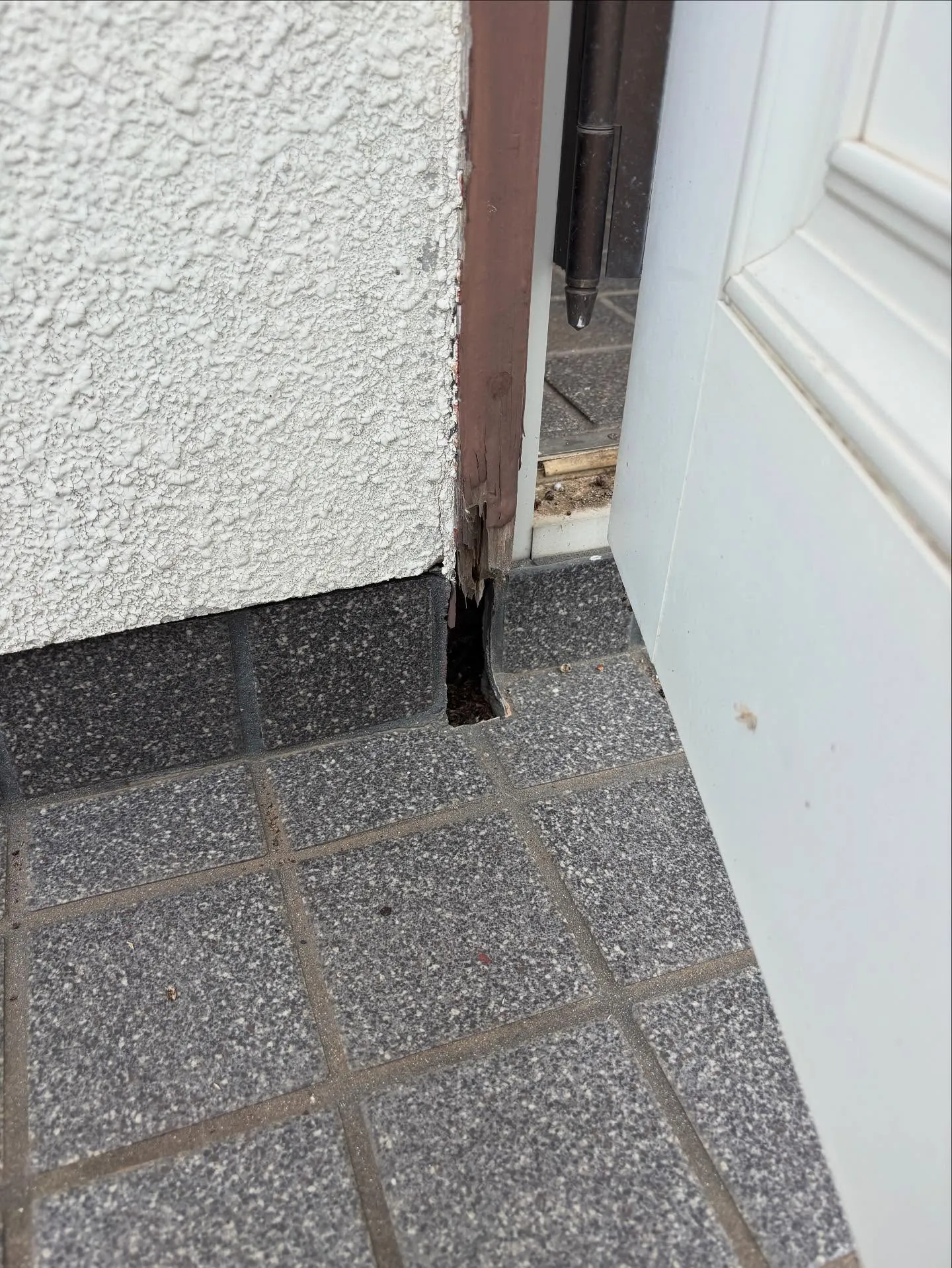こんにちは❗️