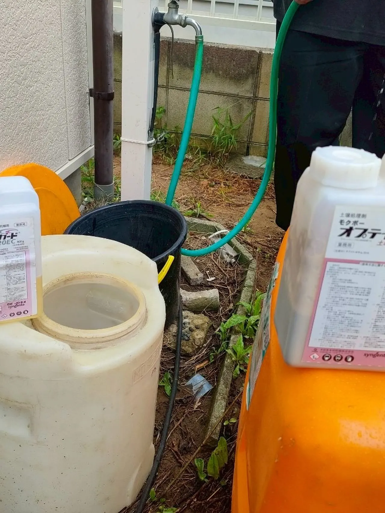 こんにちは❗️