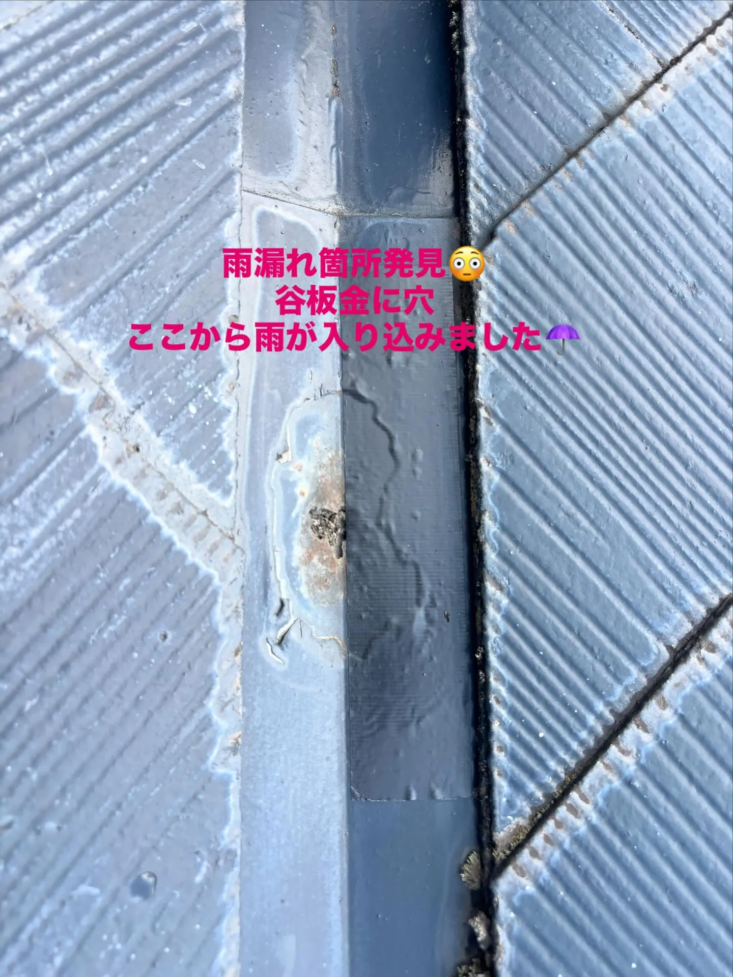 【屋根雨漏れ補修工事】