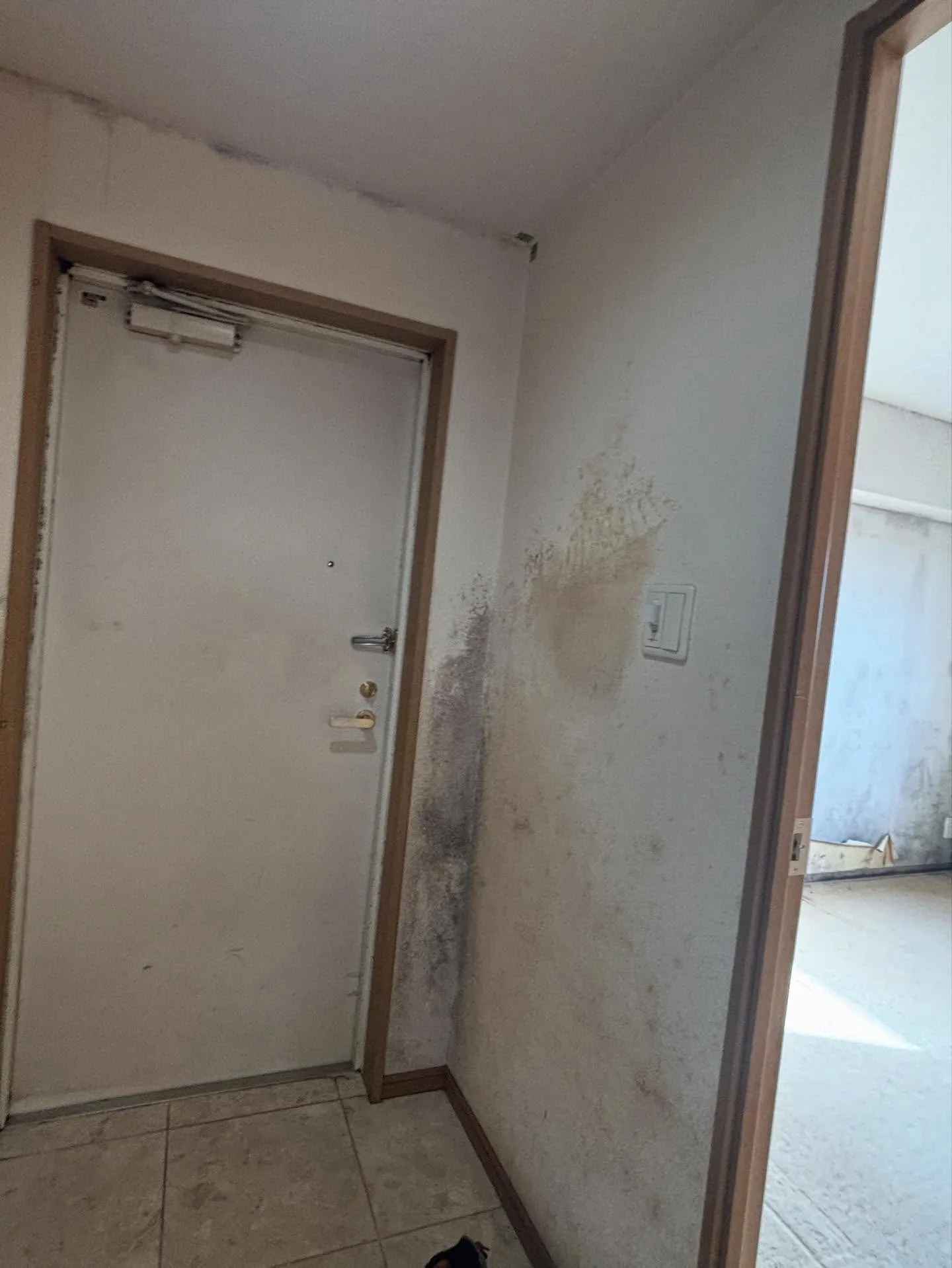 【クロス張り替え工事】千葉市稲毛区マンション一室のリフォーム...