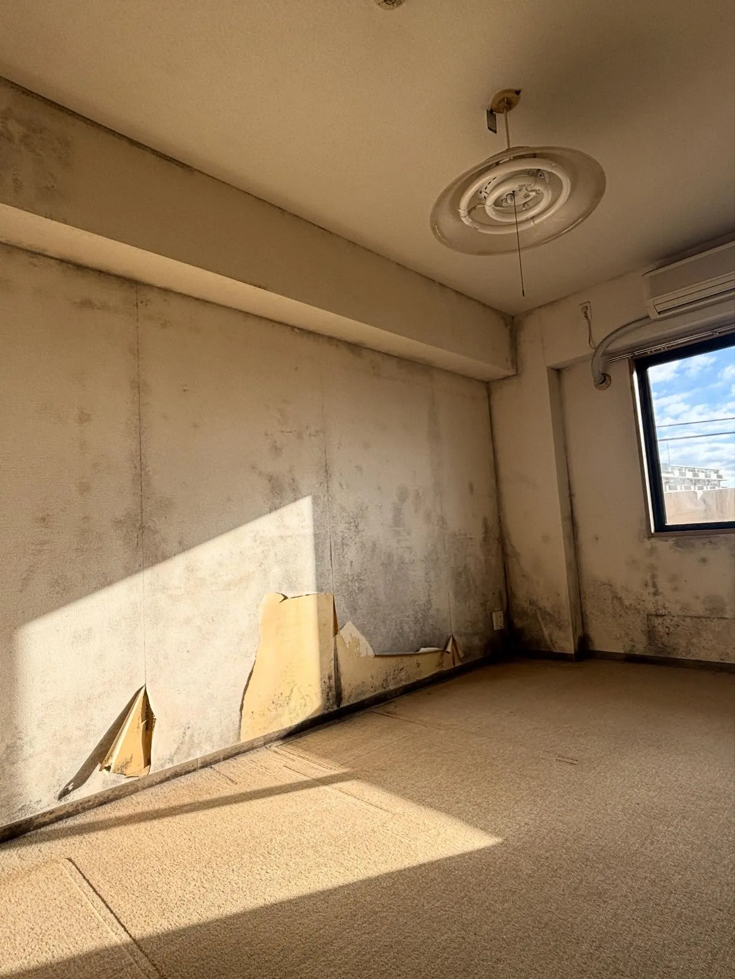 【クロス張り替え工事】千葉市稲毛区マンション一室のリフォーム...