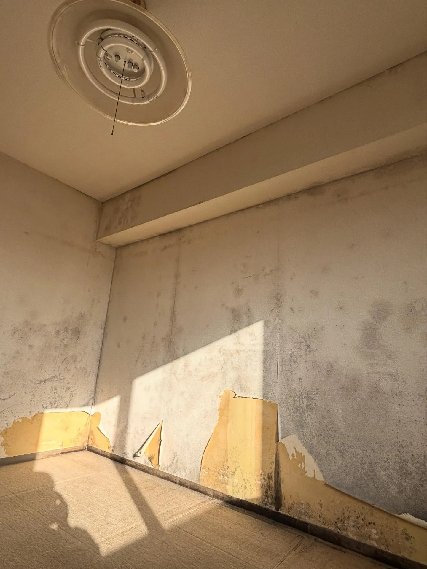 【クロス張り替え工事】千葉市稲毛区マンション一室のリフォーム...