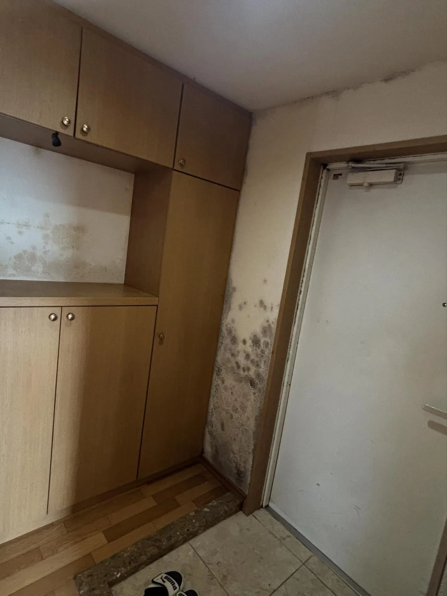 【クロス張り替え工事】千葉市稲毛区マンション一室のリフォーム...